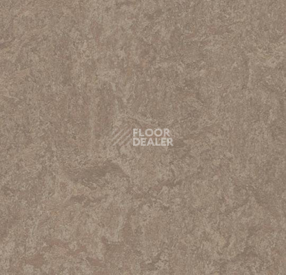 Линолеум Forbo Marmoleum Decibel 324635 shrike фото 1 | FLOORDEALER