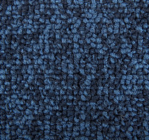 Standard Carpets Spectrum sm 557 фото 2 | FLOORDEALER