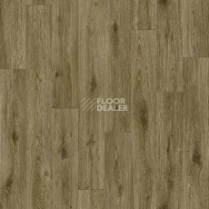 Линолеум Tarkett Absolut Tudor 4 фото 1 | FLOORDEALER