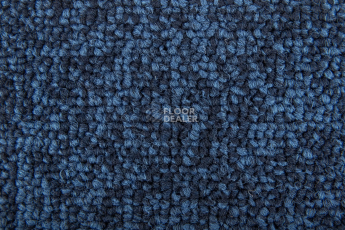 Standard Carpets Spectrum sm 557 фото 2 | FLOORDEALER