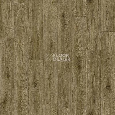 Линолеум Tarkett Absolut Tudor 4 фото 1 | FLOORDEALER