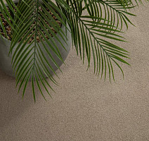 Condor Stockholm 492 фото 10 | FLOORDEALER