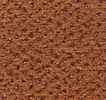 Ковролин Condor Carpets Argus 210 фото 1 | FLOORDEALER