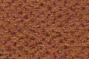 Ковролин Condor Carpets Argus 210 фото  | FLOORDEALER