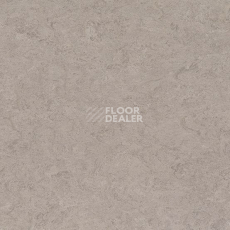 Линолеум Gerflor Marmorette DLW  2mm 0091 Shiitake Mushroom фото 1 | FLOORDEALER