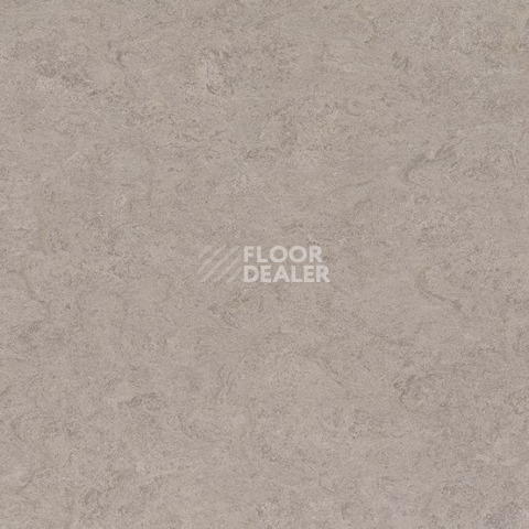 Gerflor Marmorette DLW  2mm 0091 Shiitake Mushroom фото 1 | FLOORDEALER