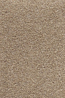 Ковролин AW Stainguard Harvest 39 фото 1 | FLOORDEALER