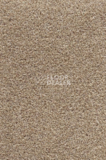 Ковролин AW Stainguard Harvest 39 фото 1 | FLOORDEALER