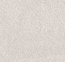 Ковролин AW Spinta 33 фото 1 | FLOORDEALER