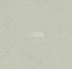 Линолеум Forbo Marmoleum Solid Concrete 3732 asteroid фото 1 | FLOORDEALER