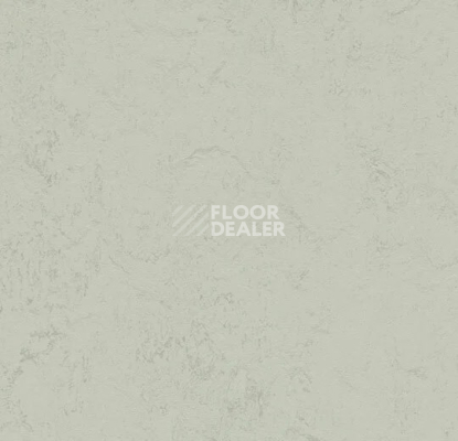 Линолеум Forbo Marmoleum Solid Concrete 3732 asteroid фото 1 | FLOORDEALER