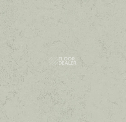 Линолеум Forbo Marmoleum Solid Concrete 3732 asteroid фото 1 | FLOORDEALER