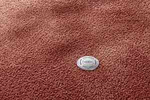 Ковролин Vorwerk Superior 1067 Mira Vorwerk 1n49 фото  | FLOORDEALER