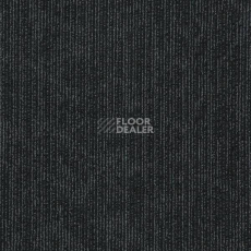 Ковровая плитка Interface Common Ground - Unify 338903 фото 1 | FLOORDEALER