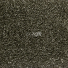 Ковролин AW Masquerade Euphoria 24 фото 1 | FLOORDEALER