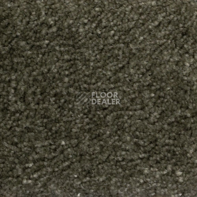 Ковролин AW Masquerade Euphoria 24 фото 1 | FLOORDEALER