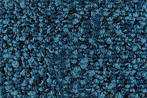 Balsan Take a Walk 170 Take a Walk фото 3 | FLOORDEALER