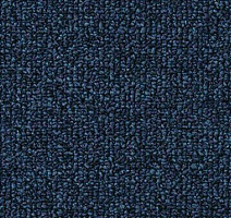 Ковролин Vorwerk Passion 1046 Vorwerk 3q19 фото 1 | FLOORDEALER