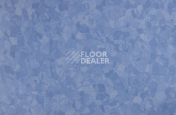 Tarkett iq Melodia 2628 фото 3 | FLOORDEALER
