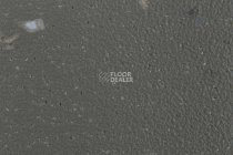 Forbo SureStep Star 176972 elephant фото 2 | FLOORDEALER