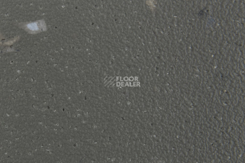 Forbo SureStep Star 176972 elephant фото 2 | FLOORDEALER