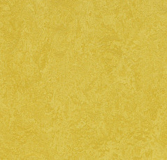 Линолеум Forbo Marmoleum Sport 83284 yellow фото 1 | FLOORDEALER