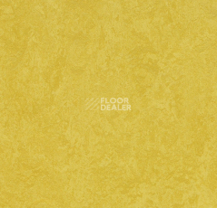 Линолеум Forbo Marmoleum Sport 83284 yellow фото 1 | FLOORDEALER