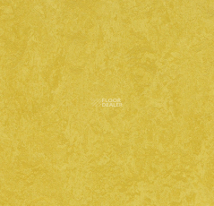 Forbo Marmoleum Sport 83284 yellow фото 1 | FLOORDEALER