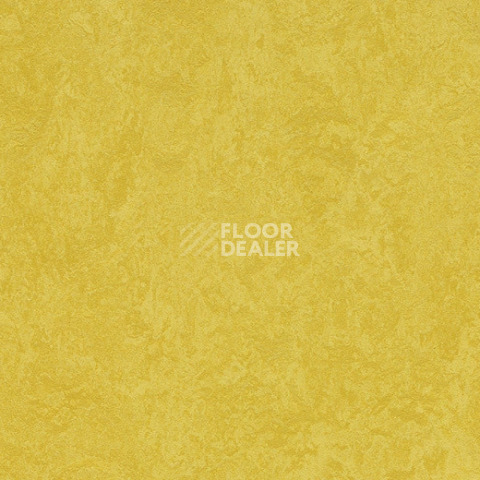 Линолеум Forbo Marmoleum Sport 83284 yellow фото 1 | FLOORDEALER