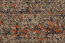 Autumn Woods 601005 Rust фото 3 | FLOORDEALER