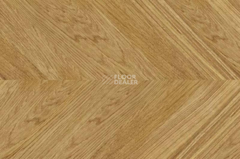 Пробковое покрытие Chevron замковое Chevron Gold фото 1 | FLOORDEALER