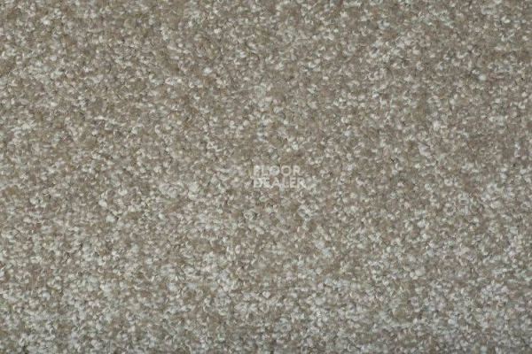 Ковролин AW Santa Fe Santa Fe 33 фото 1 | FLOORDEALER