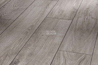 Ламинат Parador Classic 1050 4V 1475597 Дуб Светло-серый фото 1 | FLOORDEALER