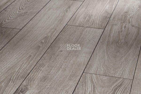 Ламинат Parador Classic 1050 4V 1475597 Дуб Светло-серый фото 1 | FLOORDEALER