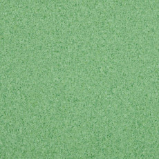 Линолеум Lg Trendy TD12510 фото 1 | FLOORDEALER