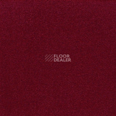 Ковролин Sintelon Eden 79430 фото 1 | FLOORDEALER