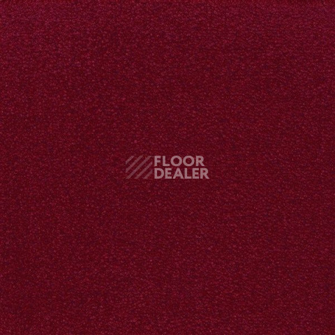 Ковролин Sintelon Eden 79430 фото 1 | FLOORDEALER
