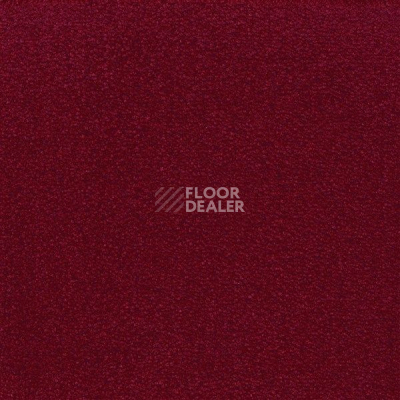 Ковролин Sintelon Eden 79430 фото 1 | FLOORDEALER