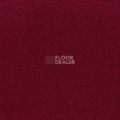 Ковролин Sintelon Eden 79430 фото 1 | FLOORDEALER