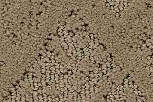 Ковролин Balsan Grand Hotel Arcachon 630 фото  | FLOORDEALER