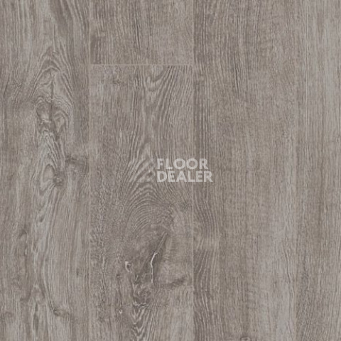 Parador Basic Plus 200 V 1594000 Дуб Светло-серый фото 2 | FLOORDEALER