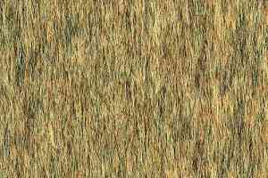 Ковровая плитка Desso Lita Desso Lita 1908 фото  | FLOORDEALER