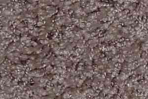 Ковролин Bell Rock Beaulieu of America 2688 фото  | FLOORDEALER