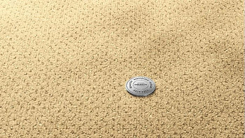 Ковролин Vorwerk Superior 1071 Vorwerk 2f512 фото 1 | FLOORDEALER