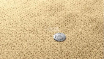 Ковролин Vorwerk Superior 1071 Vorwerk 2f512 фото 1 | FLOORDEALER