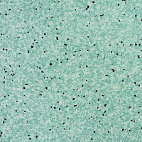 Линолеум Apoluza SportFloor PVC Jiajing BXJJ8017 фото 1 | FLOORDEALER