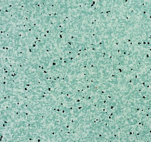 Линолеум Apoluza SportFloor PVC Jiajing BXJJ8017 фото 1 | FLOORDEALER