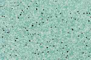 Линолеум Apoluza SportFloor PVC Jiajing BXJJ8017 фото  | FLOORDEALER