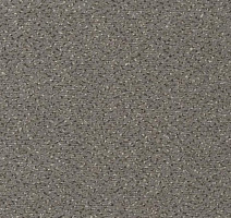 Ковролин Vorwerk Passion 1006 Vorwerk  5v43 фото 1 | FLOORDEALER