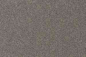 Ковролин Vorwerk Passion 1006 Vorwerk  5v43 фото  | FLOORDEALER